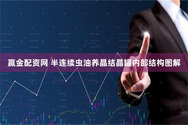 赢金配资网 半连续虫油养晶结晶罐内部结构图解