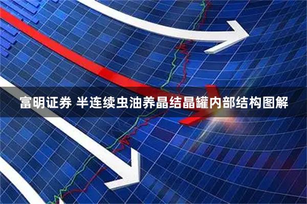 富明证券 半连续虫油养晶结晶罐内部结构图解