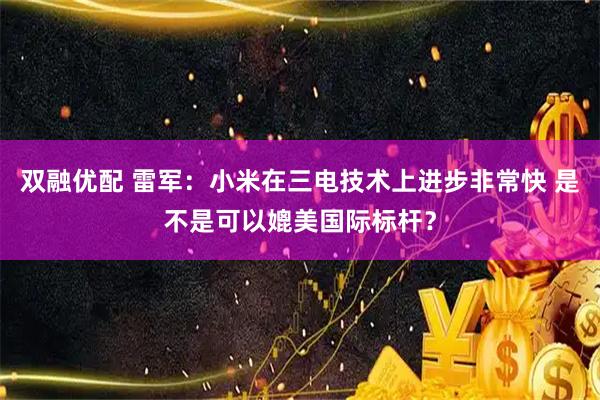 双融优配 雷军：小米在三电技术上进步非常快 是不是可以媲美国际标杆？